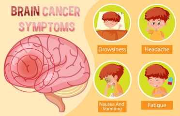 Information poster of human brain diagram