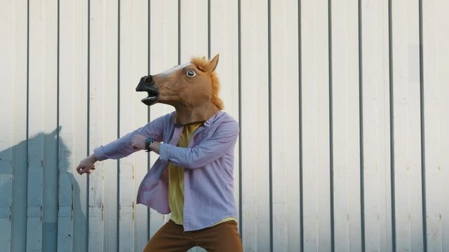 Dancing Funny Young Man in a Horse Mask Rhythmically Moving his arms Up on a Gray Background in the Street Slow Motion in Sunny Day. Crazy fun dancing Hipster. Happiness Holidays. Face Horse