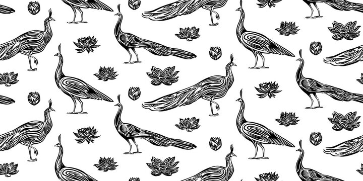 Seamless hand drawn outline sketch pattern of peacock and lotus flower. Endless black ink vector drawing of peafowl bird  isolated on white background. Stylized wildlife illustration