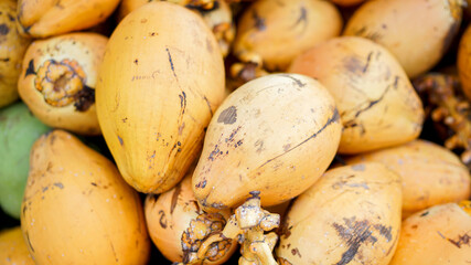 Golden king coconuts, a pile of raw and ripe coconuts. Coconut oil ingredient, fruit market in Asia, Hainan Island in China.