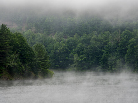 Foggy forest lake, low clouds over green woods, with mist floating above the surface of the water. © Jonathan
