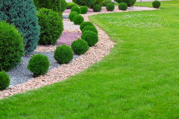 Landscape bed of garden with wave ornamental growth cypress bushes gravel mulch by color rock way...