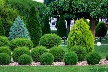 Landscape bed of landscaped park growth by row arborvitae bushes by eco rock mulch path on a spring...