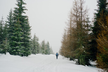 Hiker Walking in Mountains in Winter