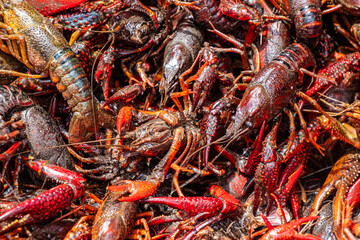 Crawdad Boil Party