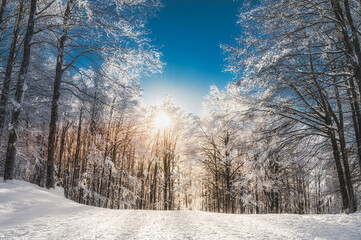Sunny day in the mountains