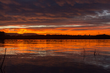 Amanecer en lago del Parque metropolitano en León Guanajuato