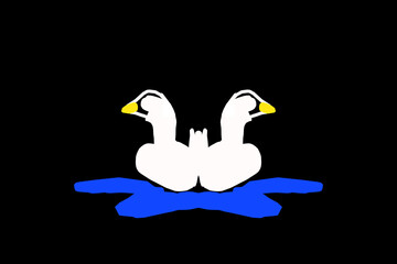 two white swans
