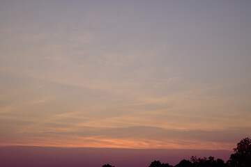 Fototapeta na wymiar Beautiful vanilla sky with cloud after sunset above trees