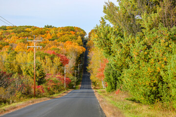 Colorful autumn trees on N 25th st on the East side Wausau, Wisconsin