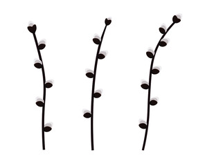 vector image of pussy willow branch isolated color on white background