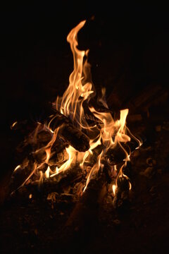 fire in the night