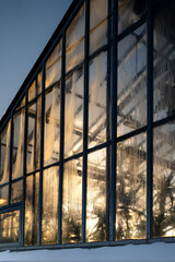 Tropical greenhouse with plants inside in winter frost weather at sunny day. Indoor garden.