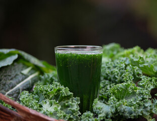 A healthy vegan drink green kale smoothie