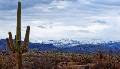 Snowy mountains background in the Desert