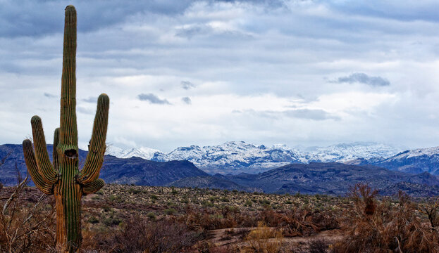 Snowy mountains background in the Desert © Leonard