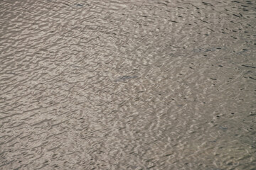 Monochrome texture of golden calm water of lake. Meditative ripples on sunny water surface. Nature minimal background of gold lake in sunlight. Natural backdrop of clear water. Sunshine lake fragment.