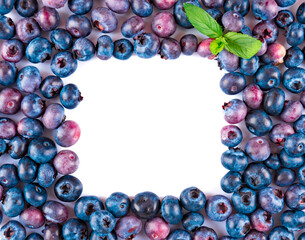 Fresh blueberries and leaves, berry frame isolated on white background, top view, frame