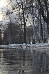 Spring is coming, the month of March. Alley in the park with melting snow, puddles and ice on a sunny spring day.