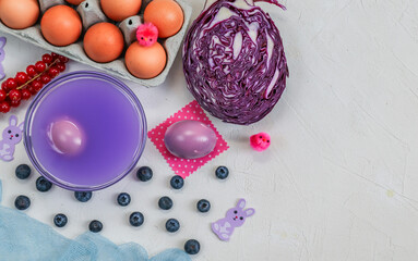 Easter eggs and paint.
Easter eggs and natural paint from red cabbage and blueberries with place for text on the left, top view close-up.