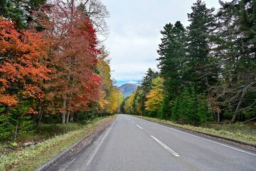 オンネトー湖近くで見た紅葉と雌阿寒岳のコラボ情景＠北海道