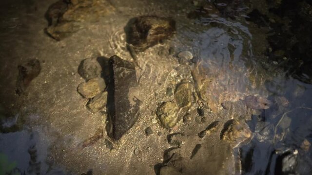 Gentle river in Magoebaskloof area, Limpopo Province, South Africa