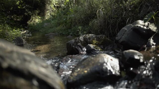 Stream flowing in Magoebaskloof area, Limpopo Province, South Africa