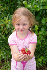 The girl holds a ripe juicy red fragrant strawberry in her hands.