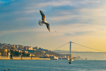 Beautiful sunset at Bosphorus bridge, Istanbul, Turkey with birds flying in the foreground.