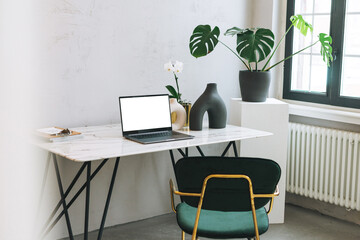 Modern workplace with an open laptop with white screen and green monstera on the marble table, mock up, template