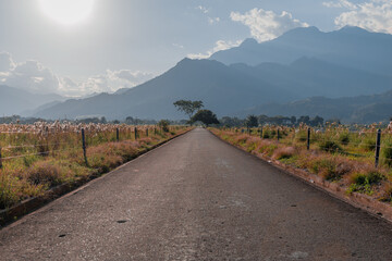Carretera hacia la montaña 