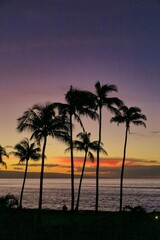 Obraz na płótnie Canvas sunset on the beach, Maui Hawaii