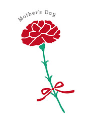 母の日のカーネーション