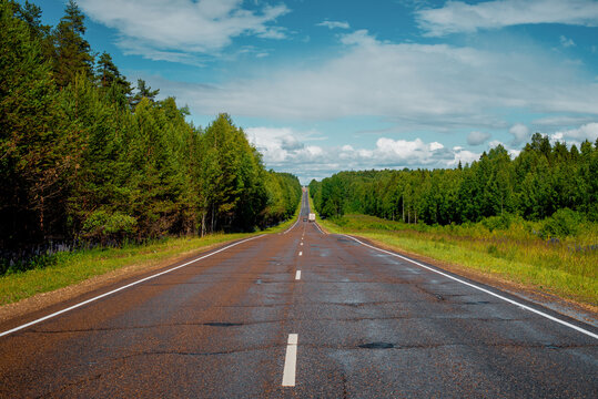 An asphalt road outside the city, after the last rain. Intercity deserted track passing through a summer forest.