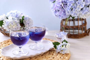 バタフライピーティーでリフレッシュ