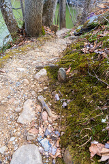 Mossy trail 