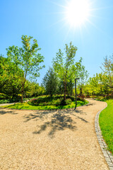 Beautiful city park in summer season.