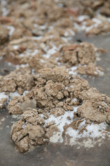 Permafrost, residual snow and freezing under severe cold in North China