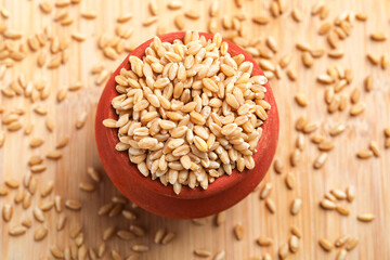 Wheat grains in clay pot on white background