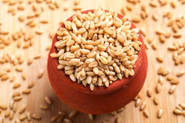 Wheat grains in clay pot on white background