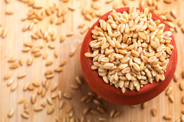 Wheat grains in clay pot on white background
