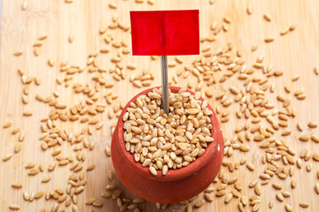 Wheat grains in clay pot on white background