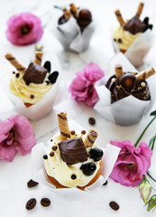Chocolate cupcakes on white marble background