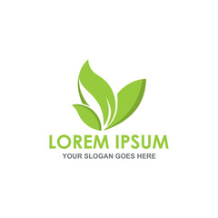 nature leaf logo vector image