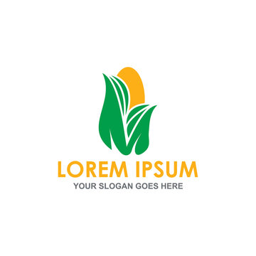 corn plant logo vector image