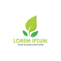 nature leaf logo vector image