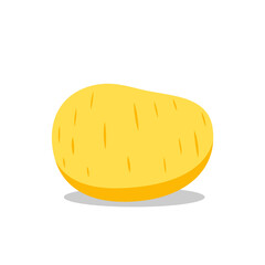 Potato vector. Potato on white background.