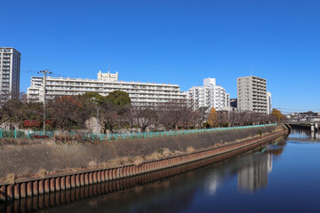 境川（神奈川県藤沢市）