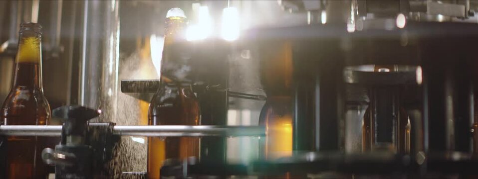 Video of a brewing process in a factory. Glass bottles moving on a factory line. Capping machine in a brewery. Factory, brewery concept.
