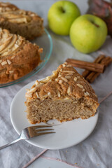 Freshly baked apple pie with apples 